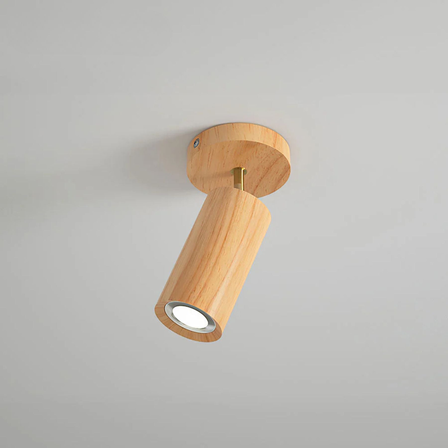 Metoza Plafondlamp