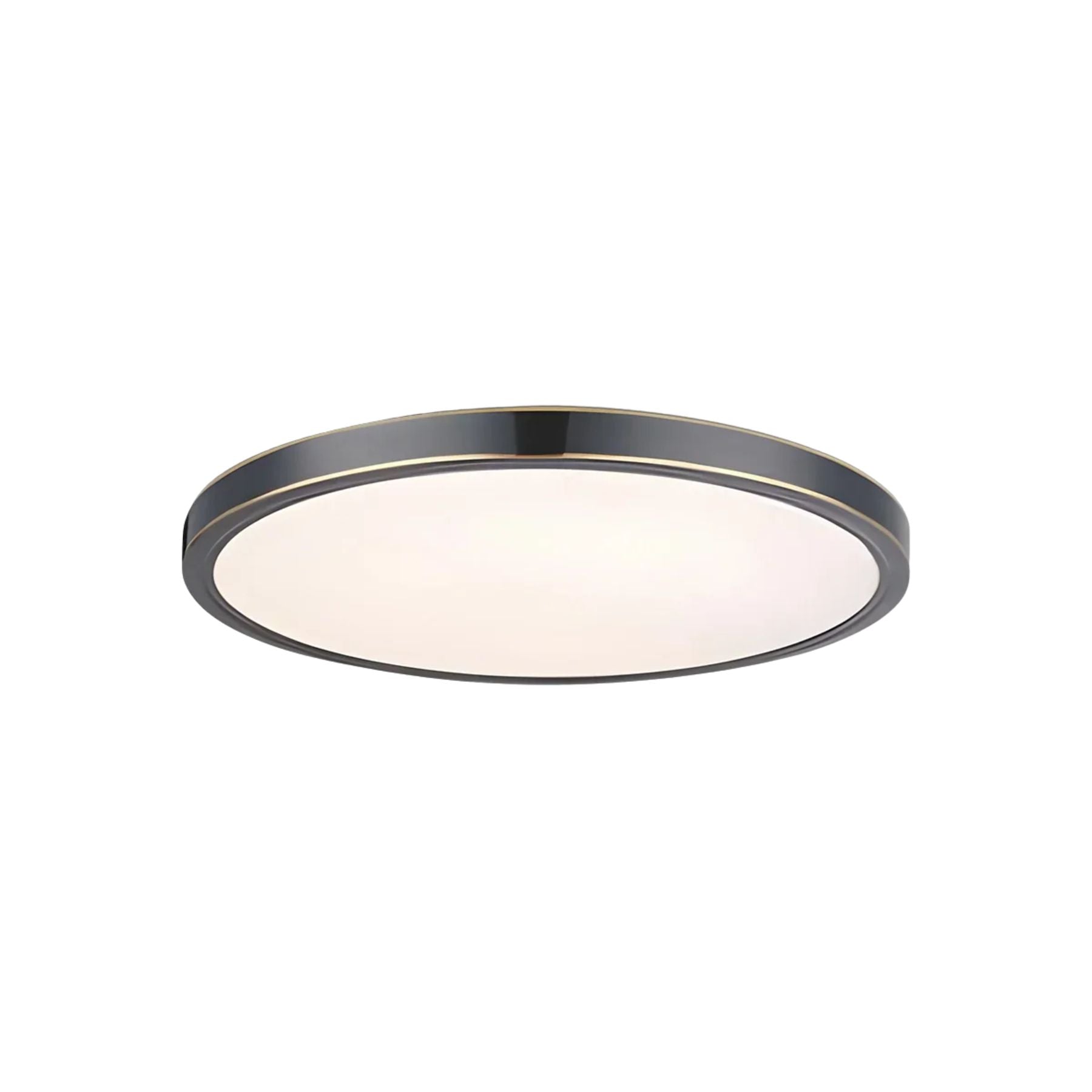 Disculon Plafondlamp