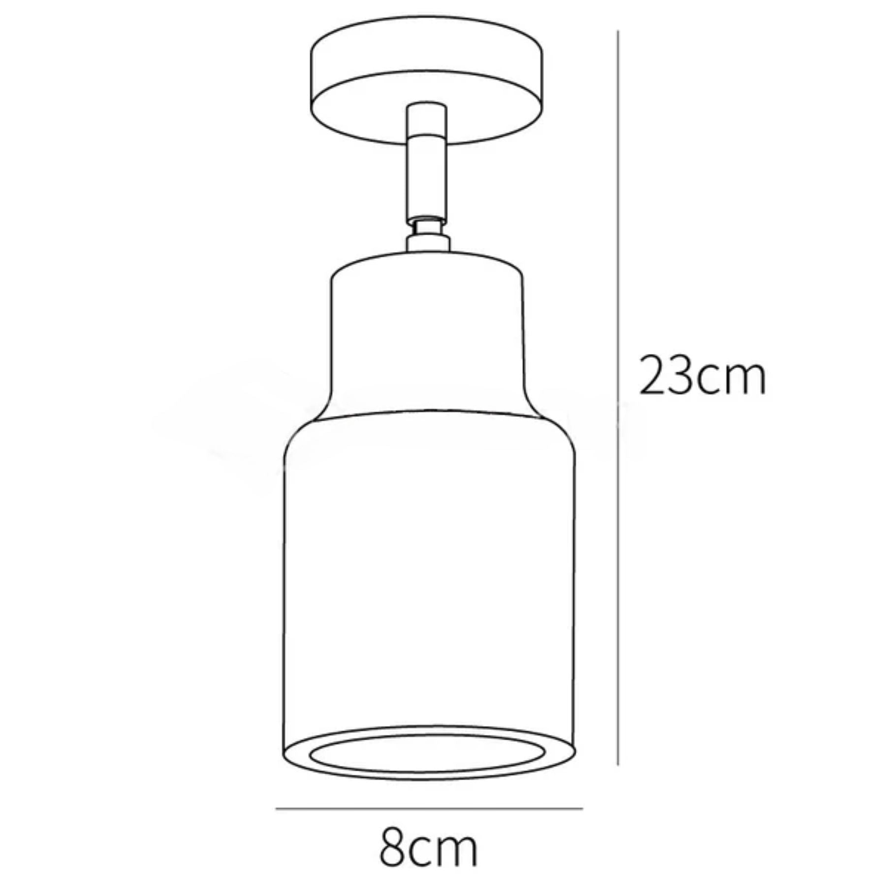 Zenvo Houten Plafondlamp