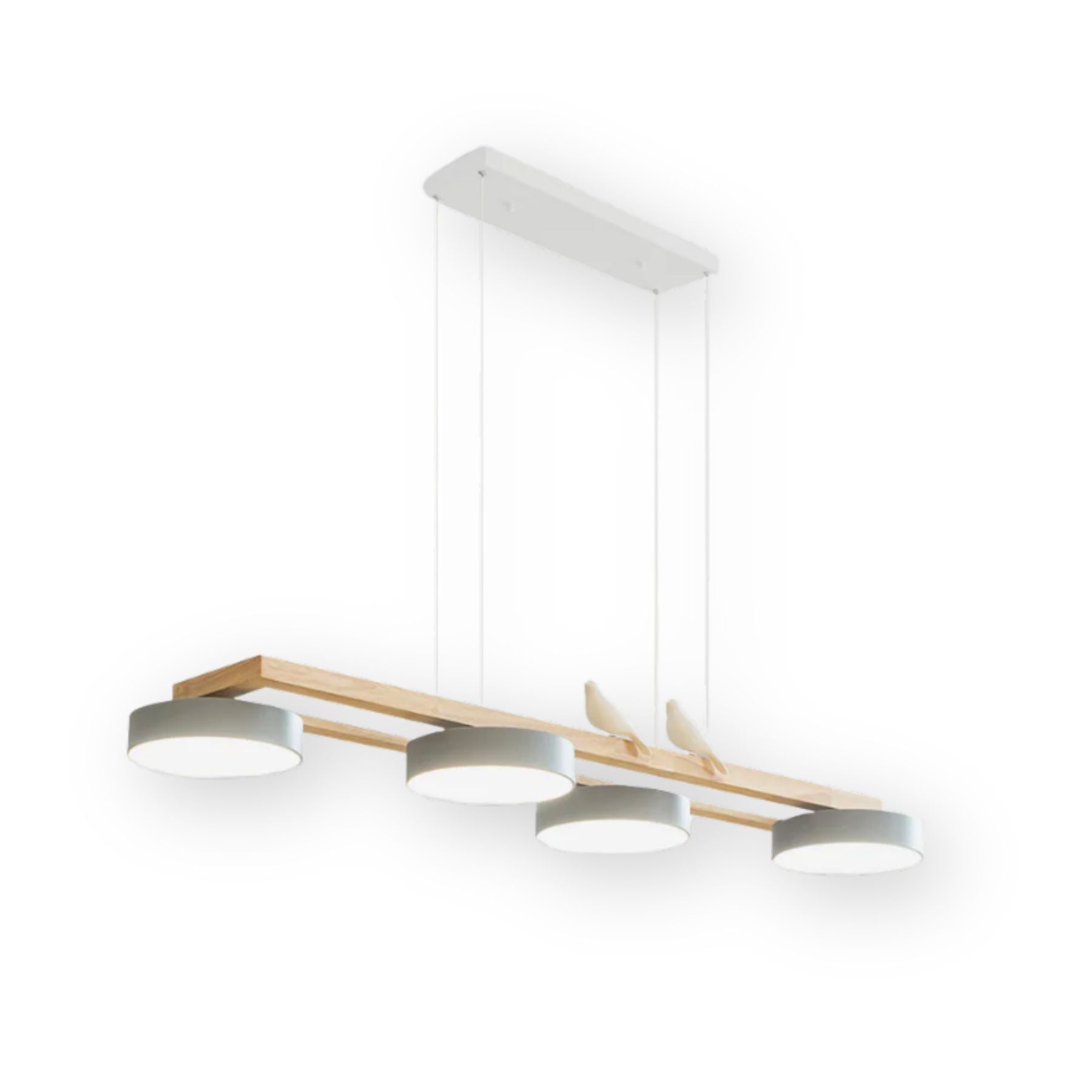 Felaro Birdlace Hanglamp