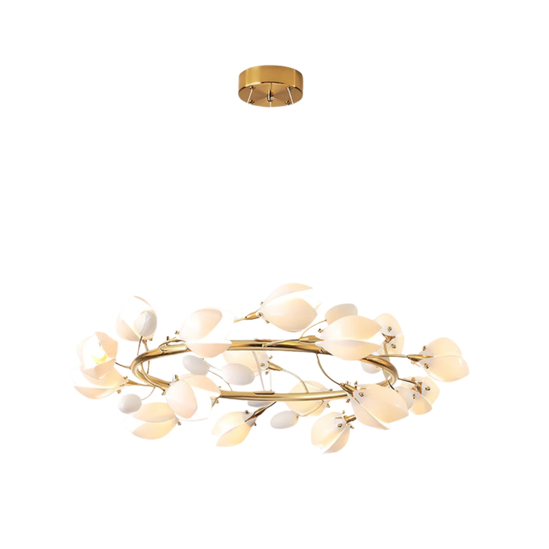 Lilyzan Hanglamp