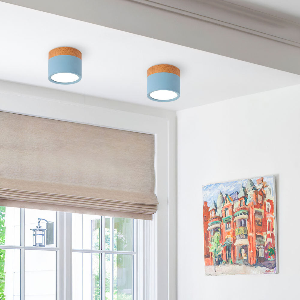 Cylinder Kleine Plafondlamp