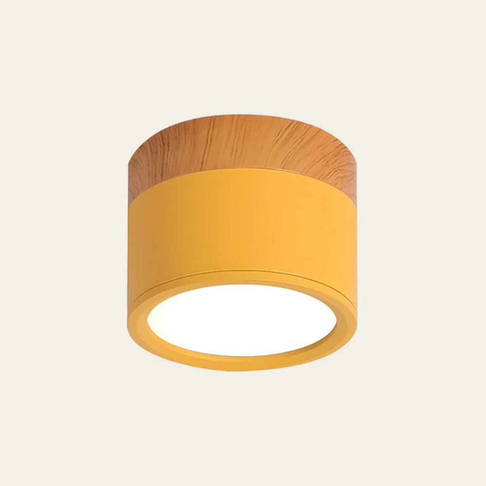 Cylinder Kleine Plafondlamp