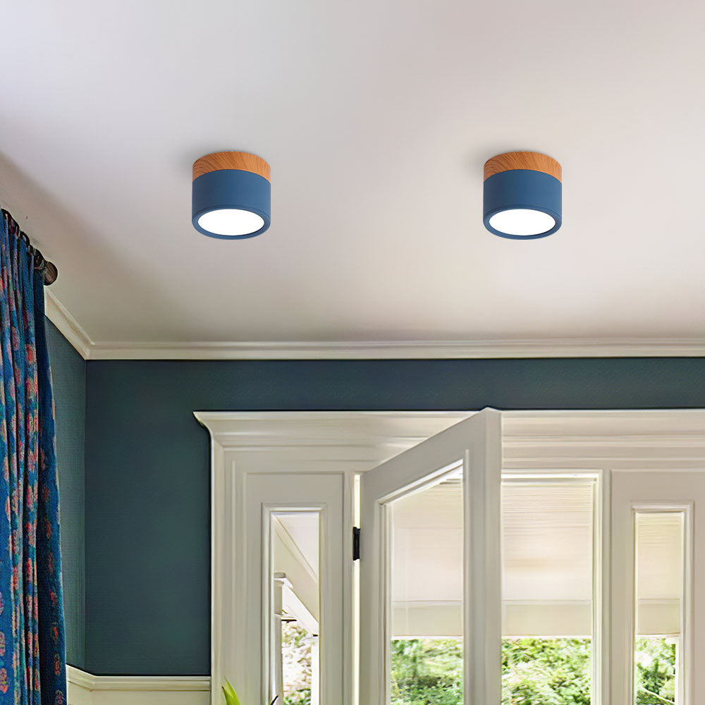 Cylinder Kleine Plafondlamp