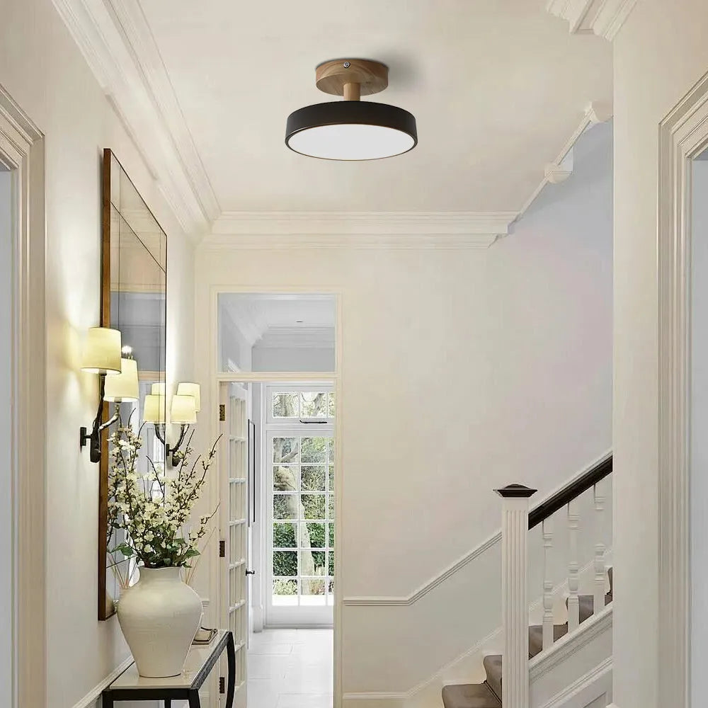 Pedol Plafondlamp