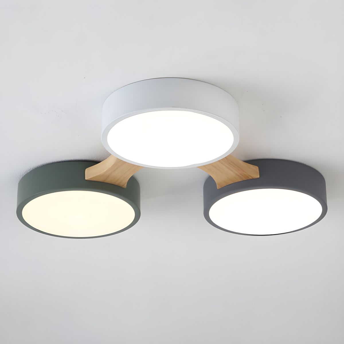 Bridon Plafondlamp