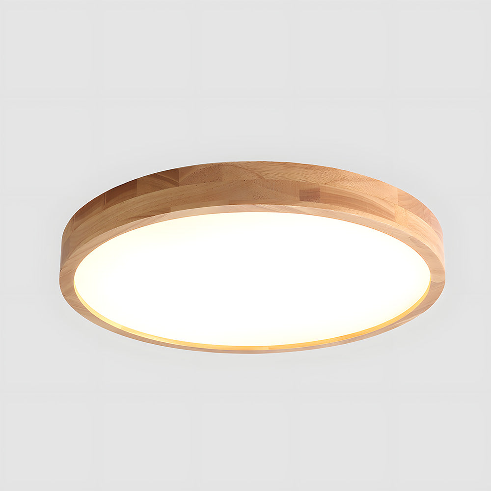 Erlivon Plafondlamp