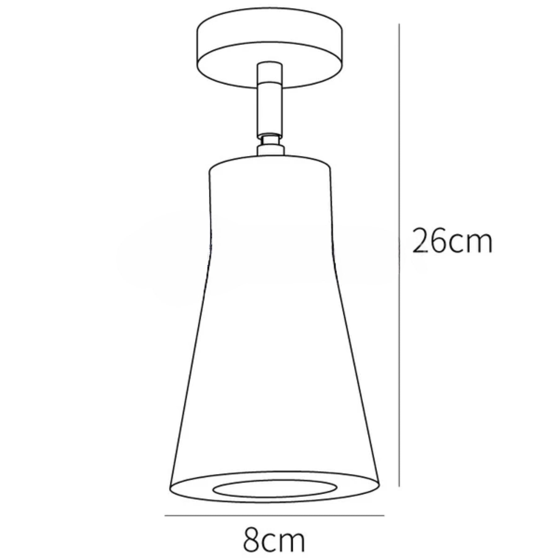 Zenvo Houten Plafondlamp