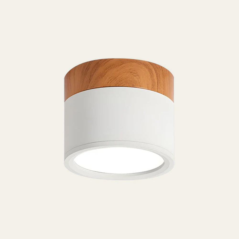 Cylinder Kleine Plafondlamp