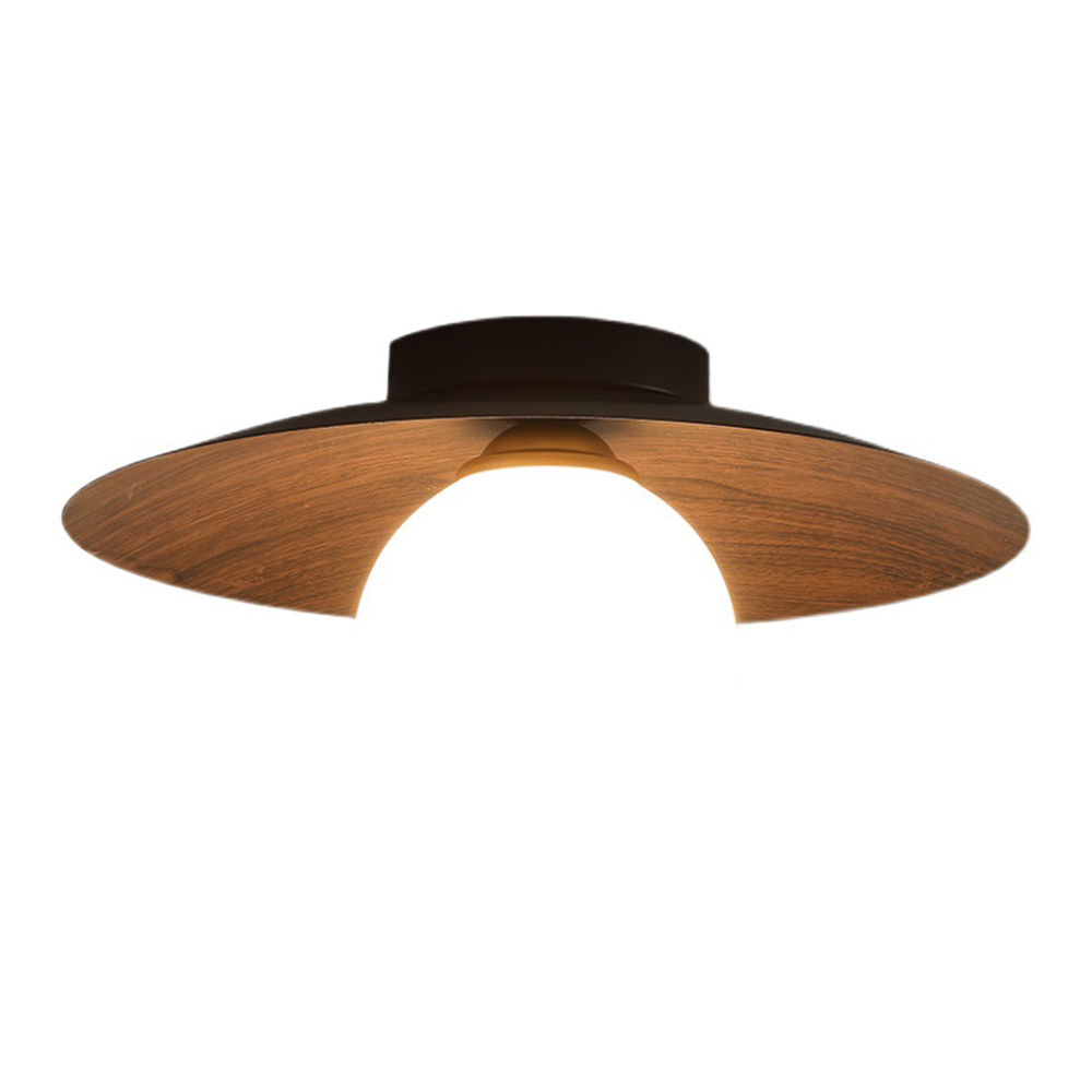 Entaro Plafondlamp
