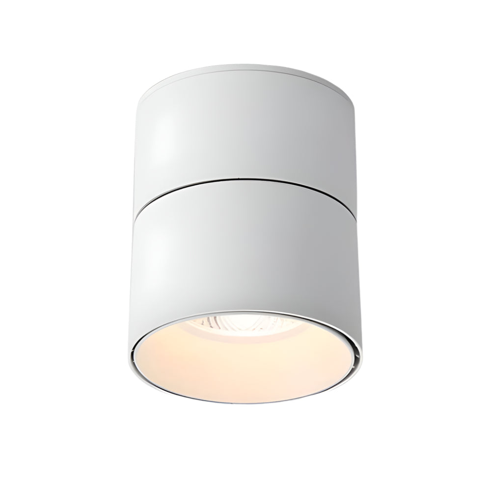 Velori Plafondlamp