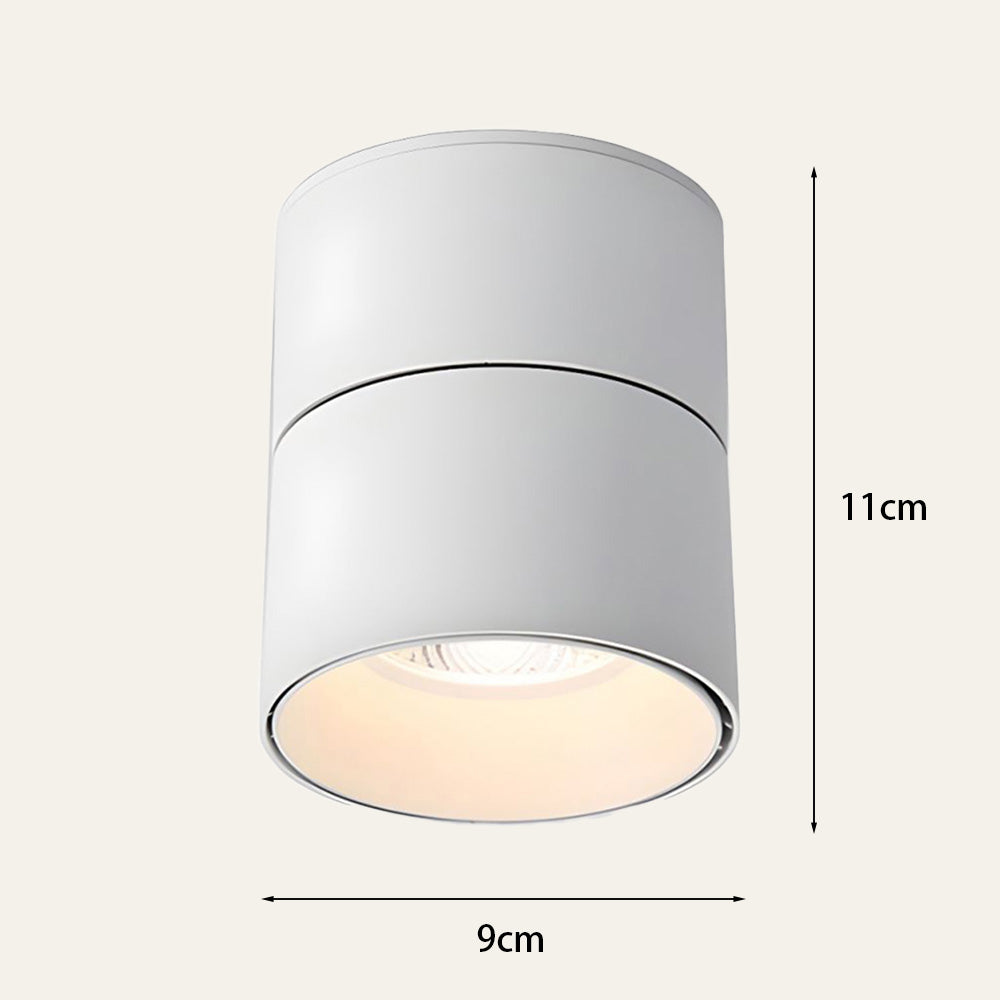 Velori Plafondlamp