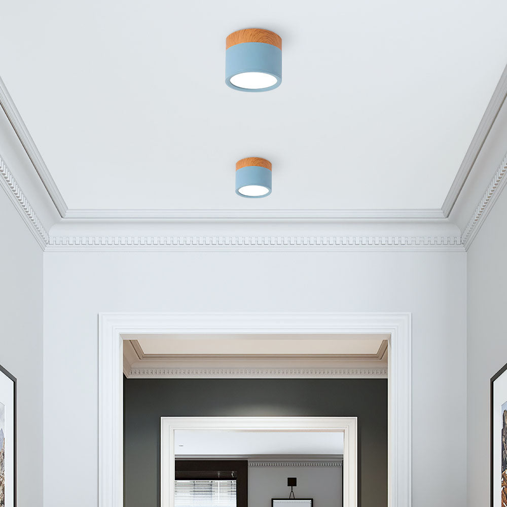 Cylinder Kleine Plafondlamp
