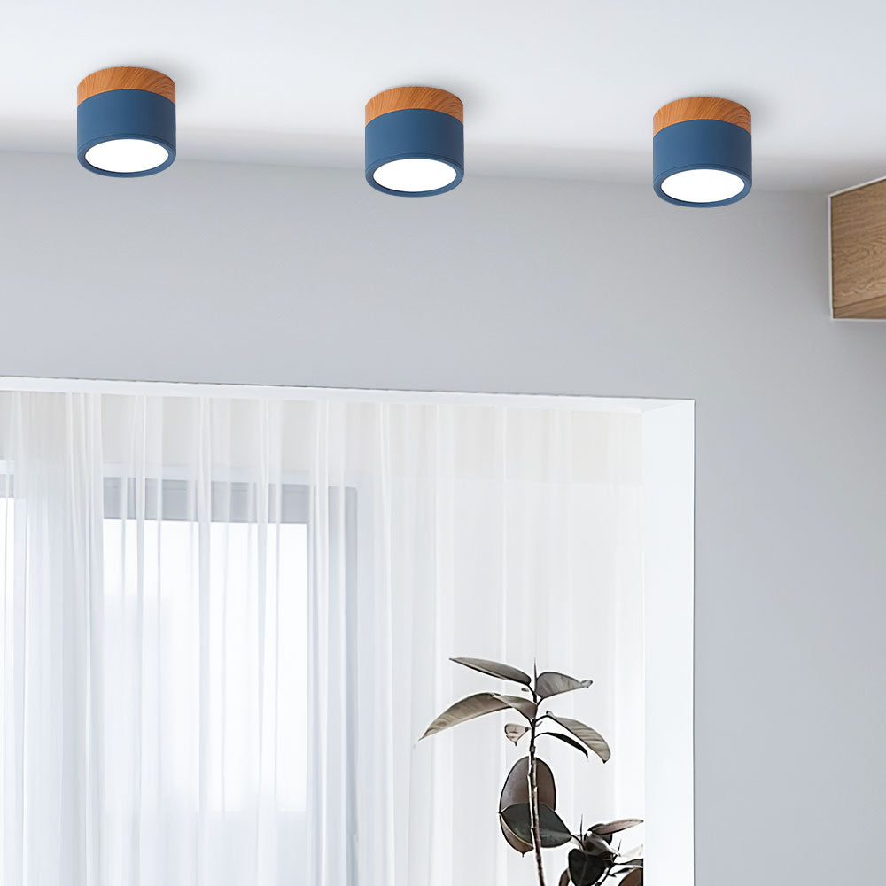 Cylinder Kleine Plafondlamp