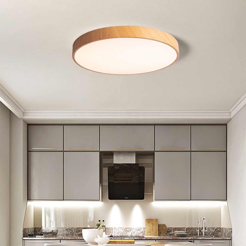 Concize Disc Plafondlamp