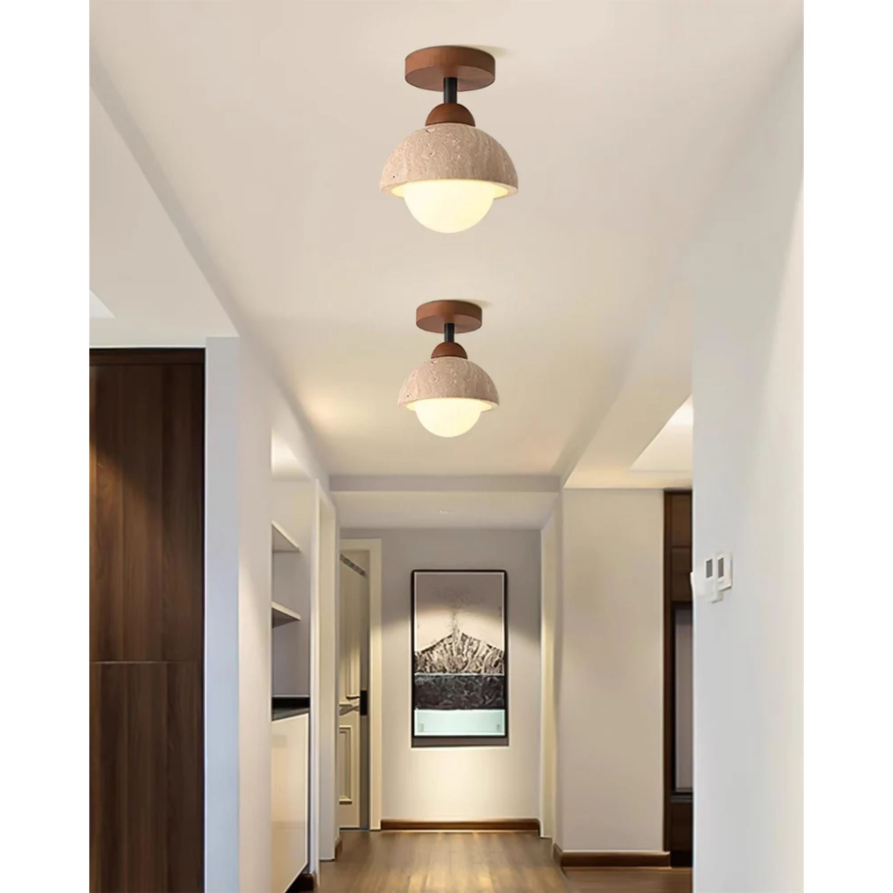 Delvoro Plafondlamp