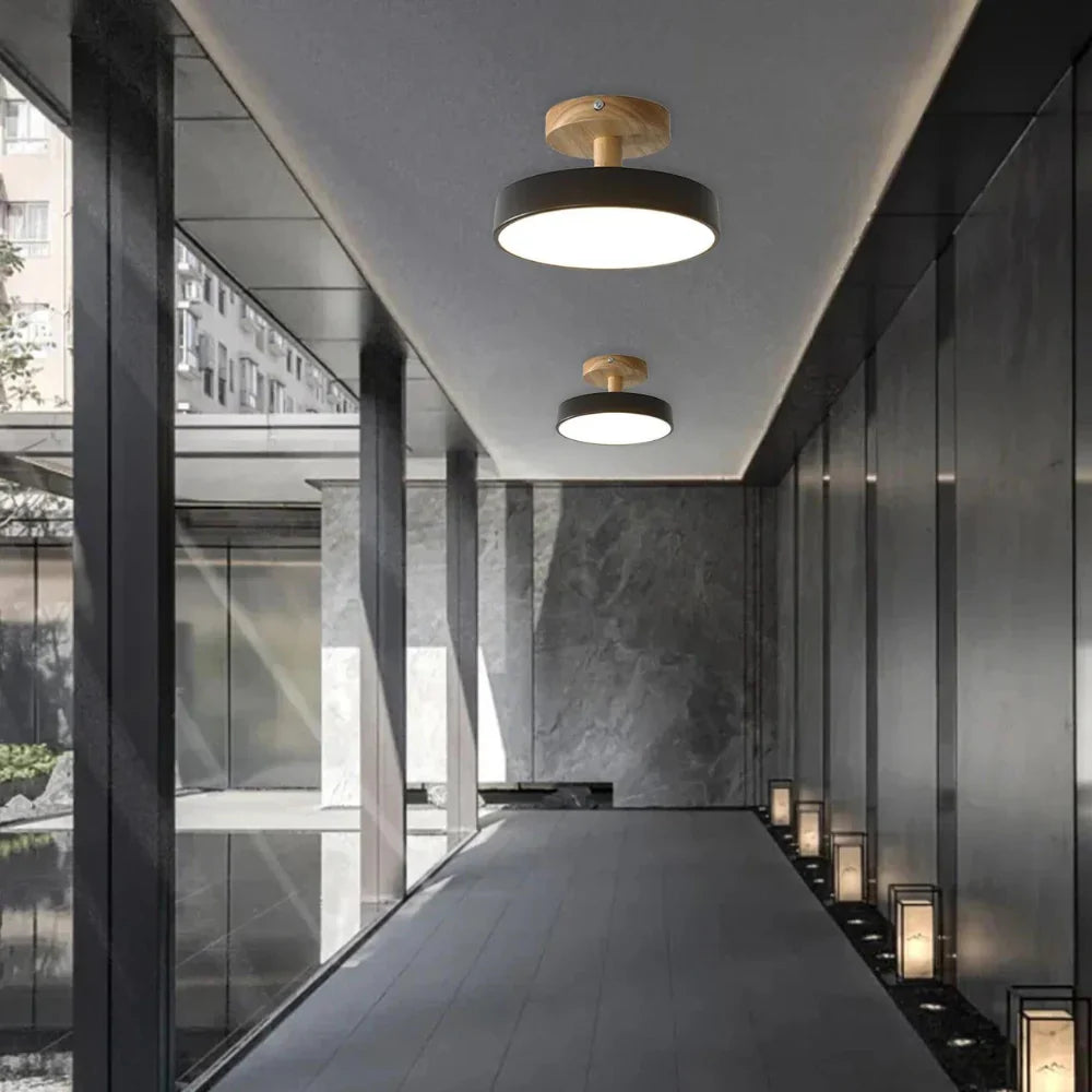 Pedol Plafondlamp