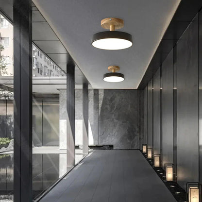 Pedol Plafondlamp