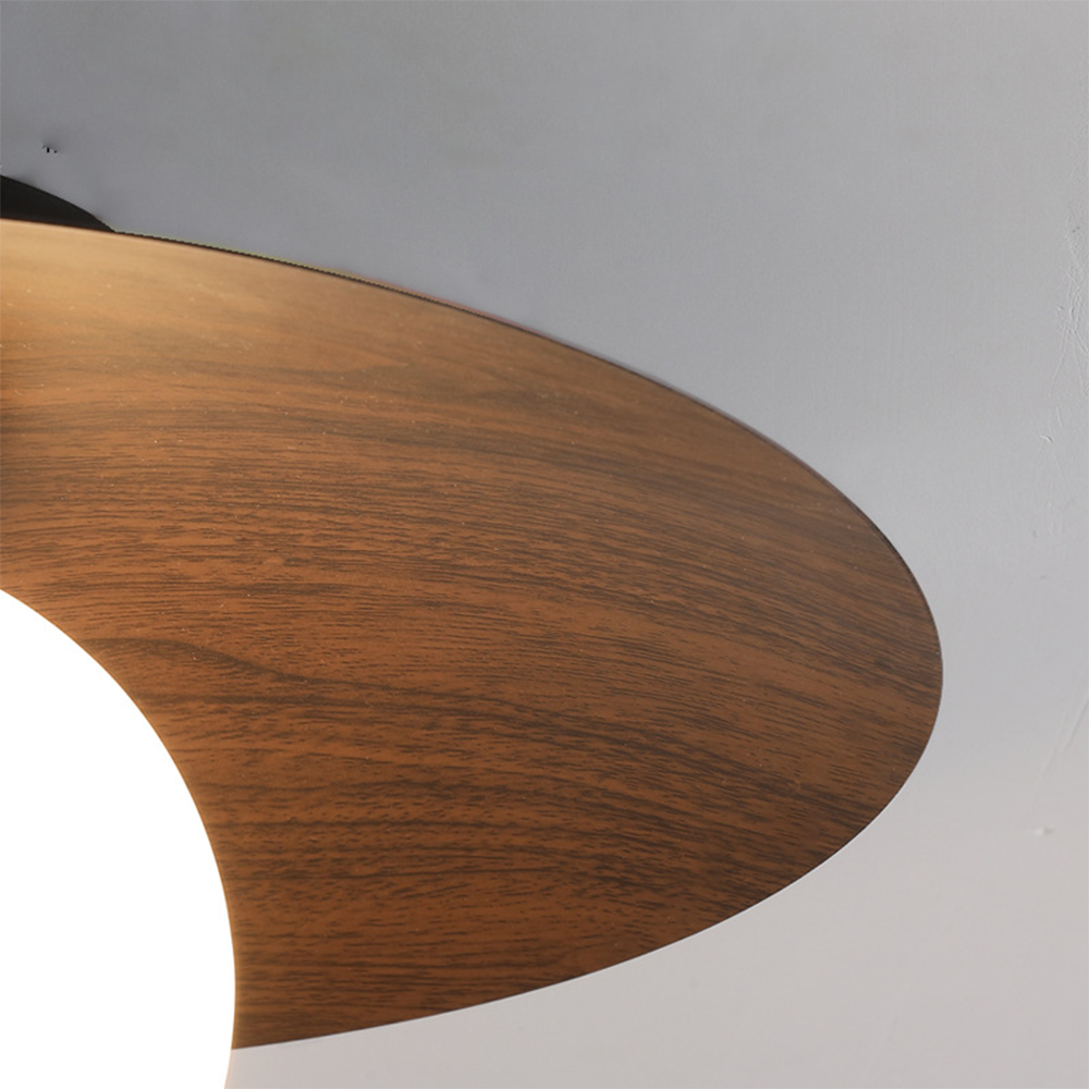 Entaro Plafondlamp