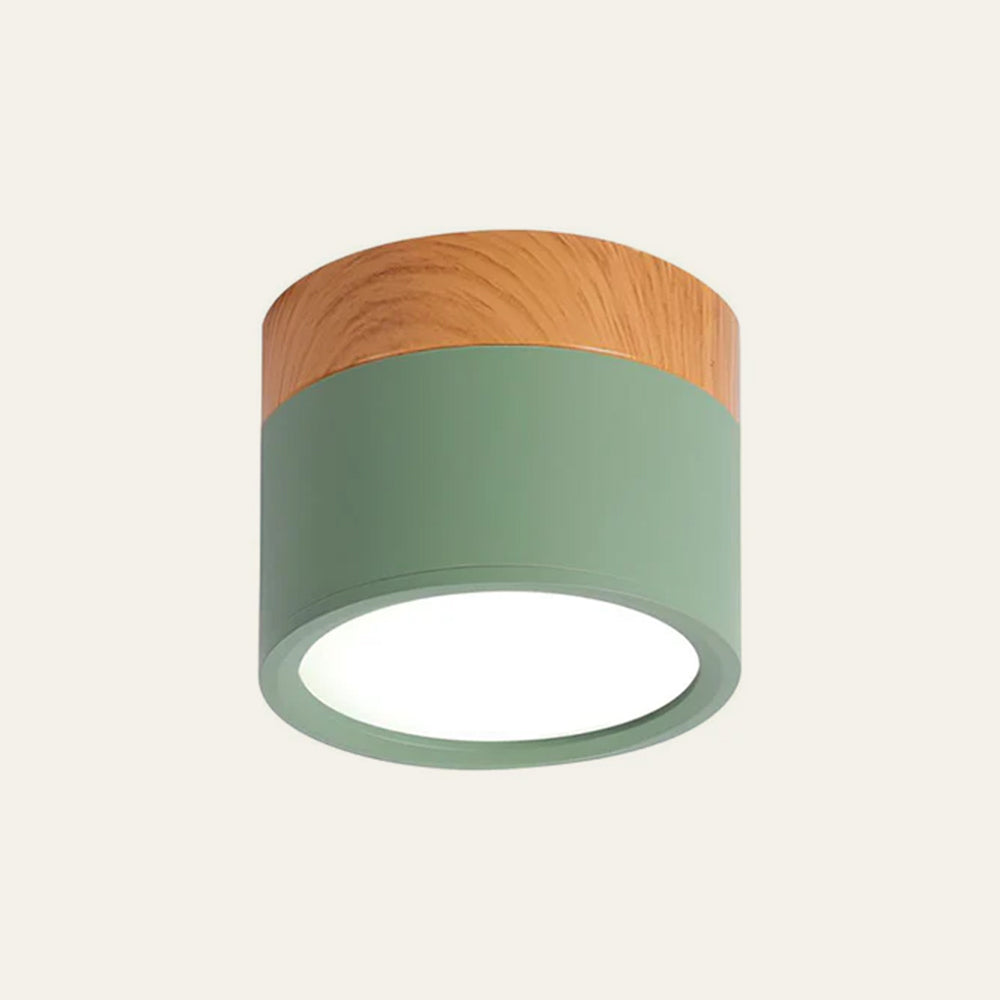 Cylinder Kleine Plafondlamp