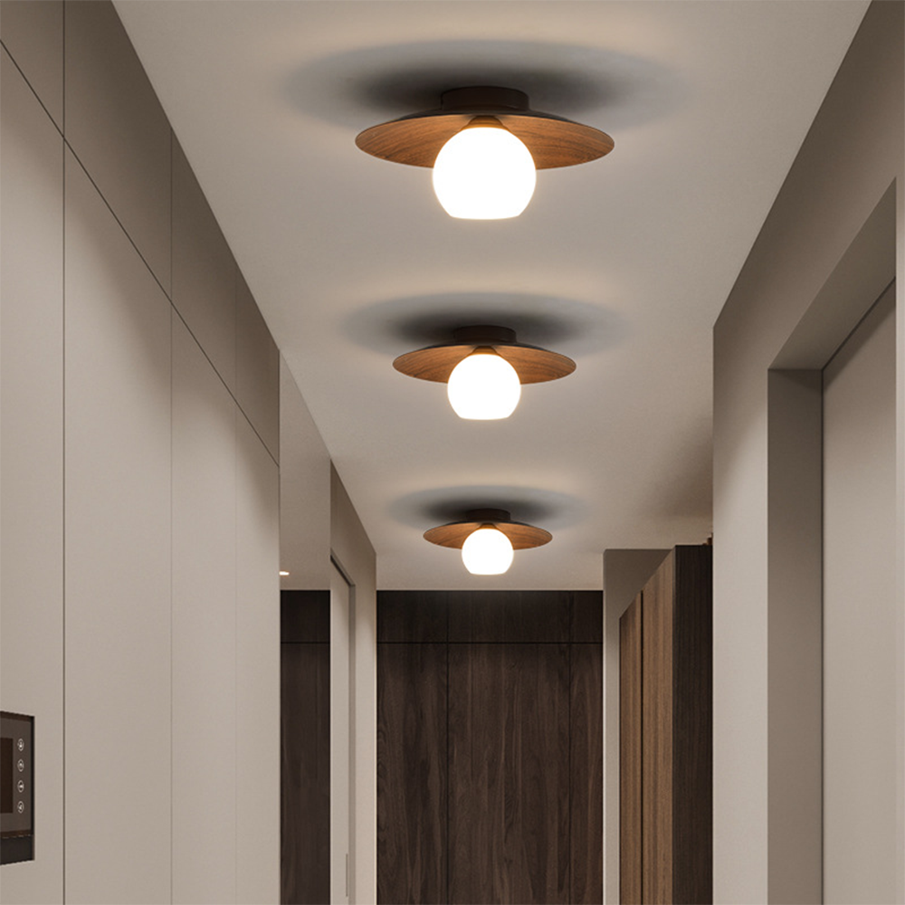 Entaro Plafondlamp
