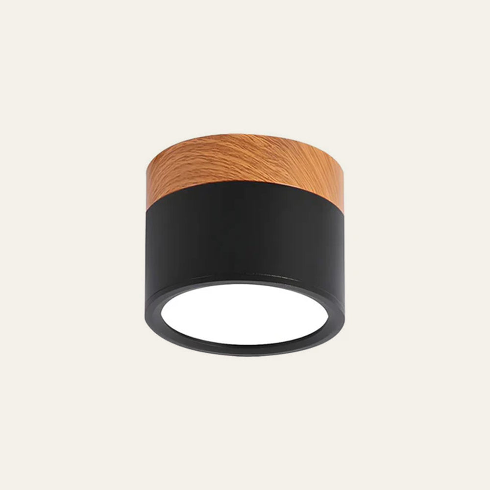 Cylinder Kleine Plafondlamp