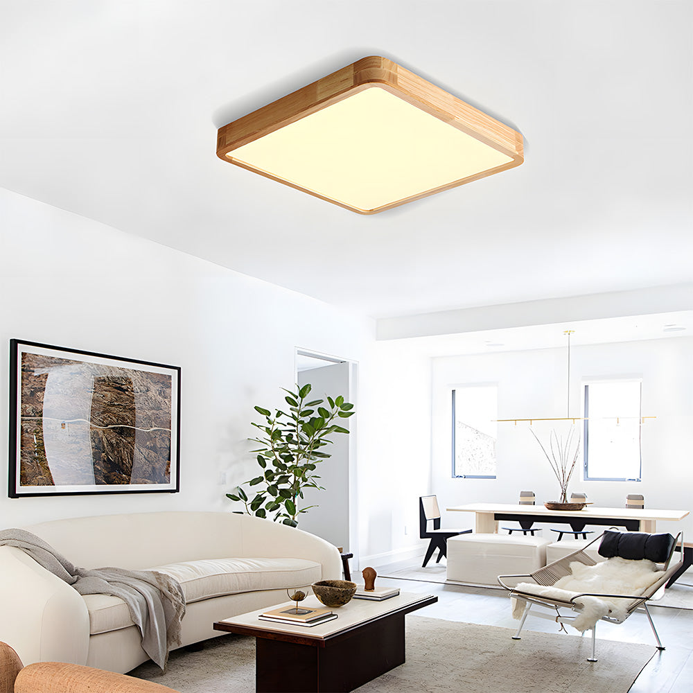 Erlivon Plafondlamp