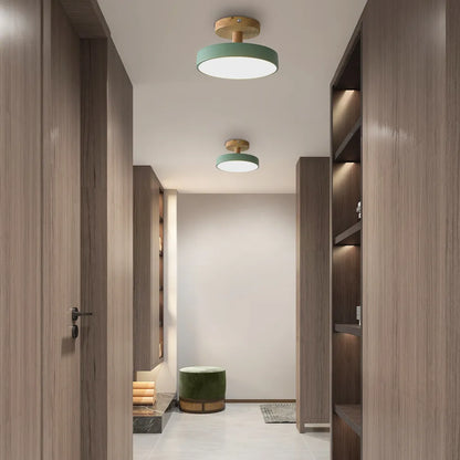 Pedol Plafondlamp