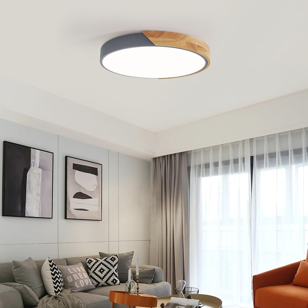 Haslon Ronde Plafondlamp