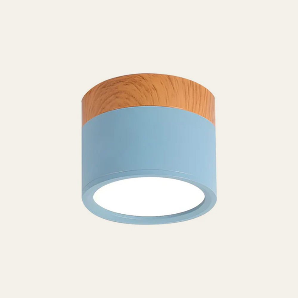 Cylinder Kleine Plafondlamp