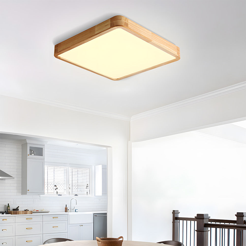 Erlivon Plafondlamp