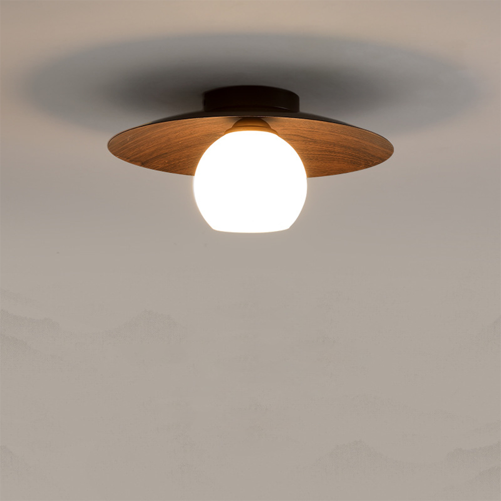 Entaro Plafondlamp