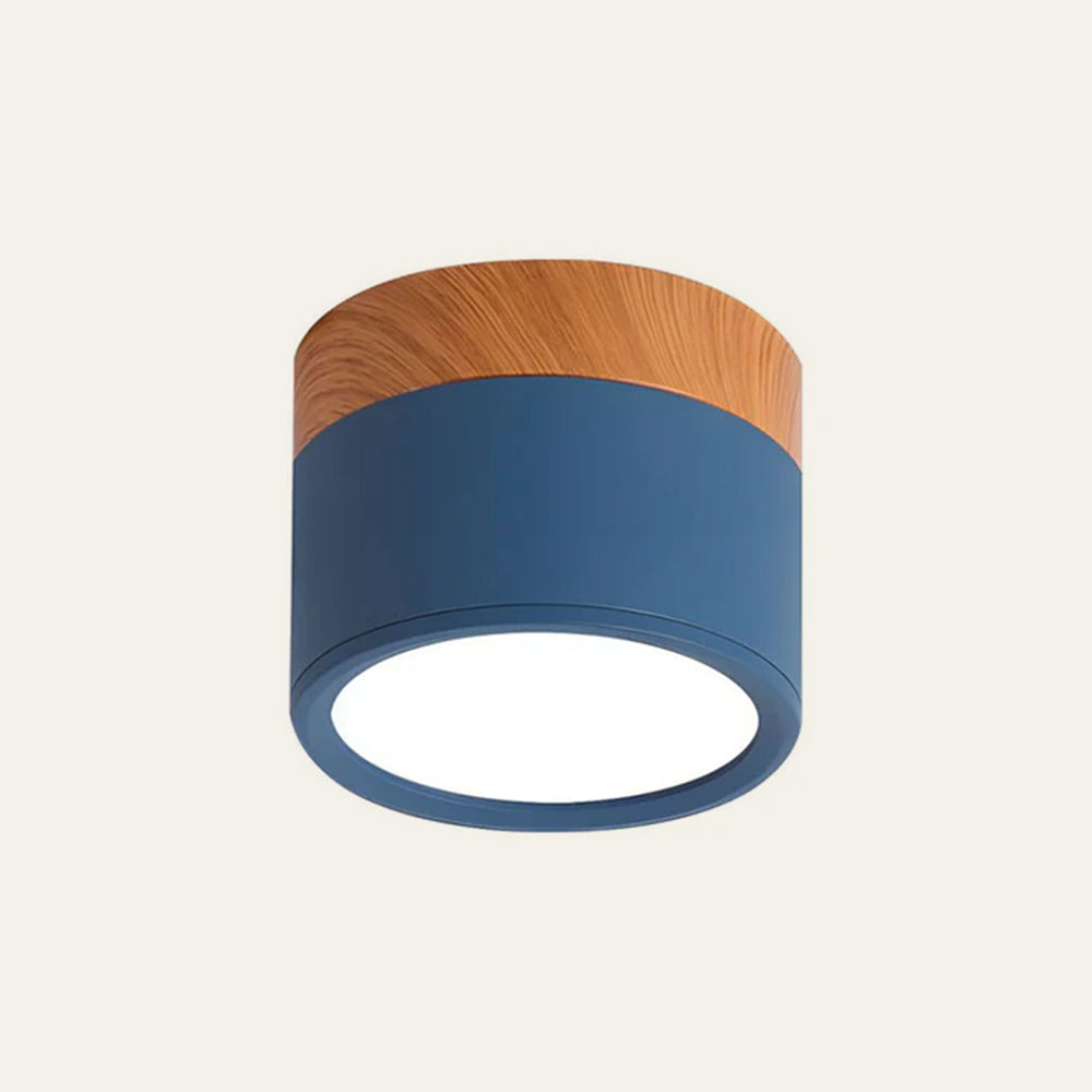 Cylinder Kleine Plafondlamp