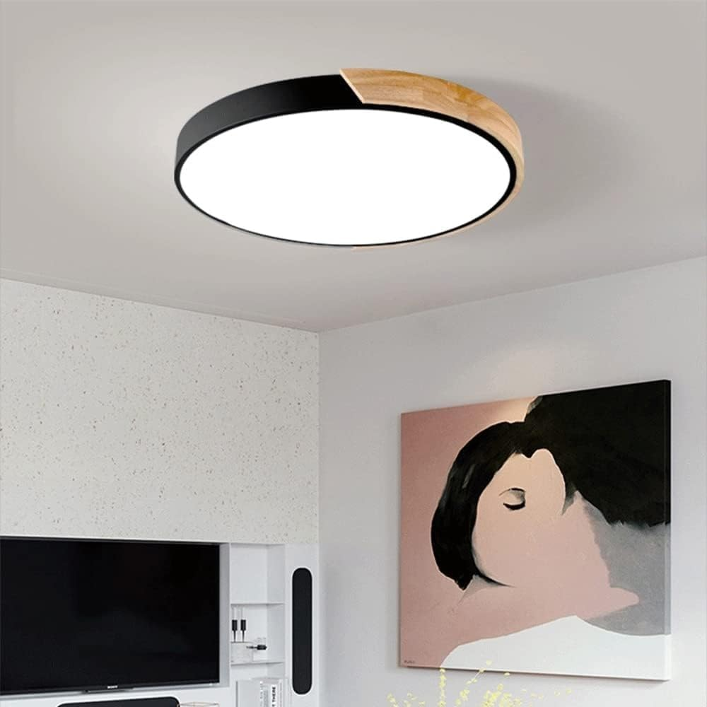 Haslon Ronde Plafondlamp
