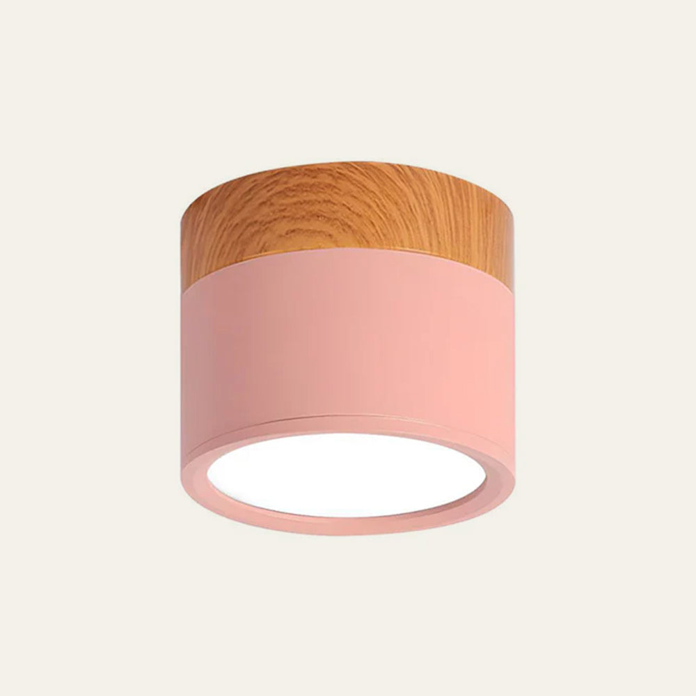 Cylinder Kleine Plafondlamp