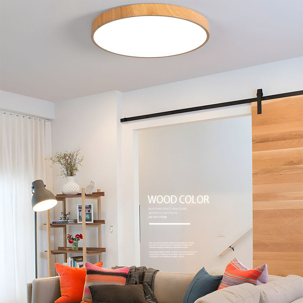 Concize Disc Plafondlamp
