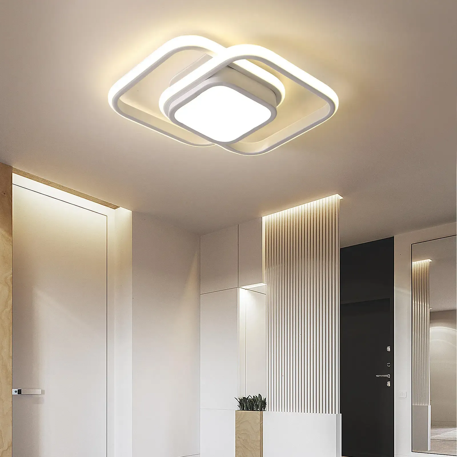 Dubbele Ring LED Plafondlamp