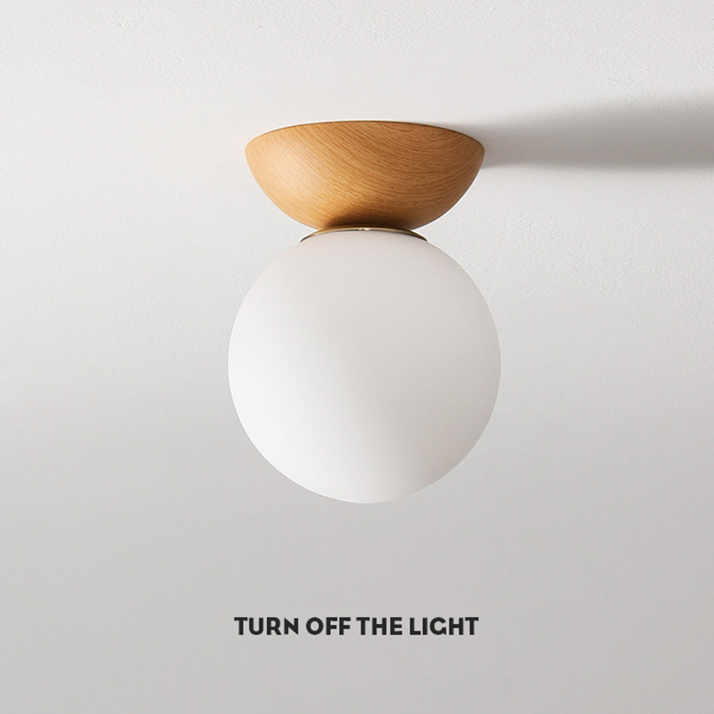 Pundo Plafondlamp