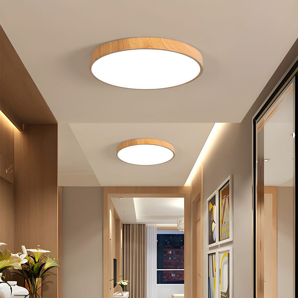 Concize Disc Plafondlamp