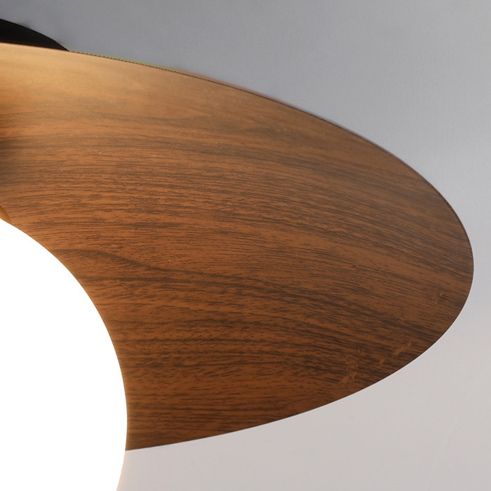 Entaro Plafondlamp