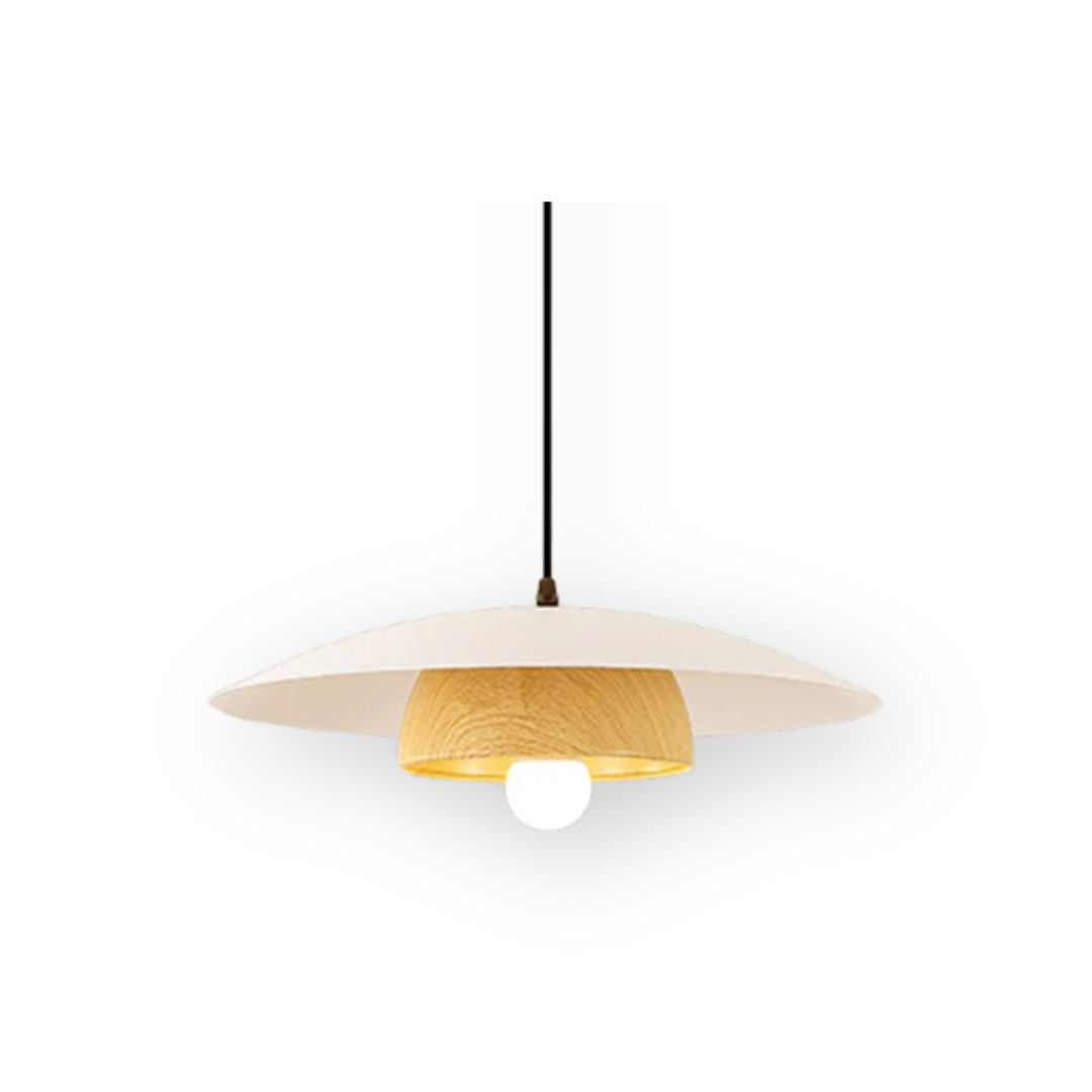 Modern Dome Designer Metal Pendant Light