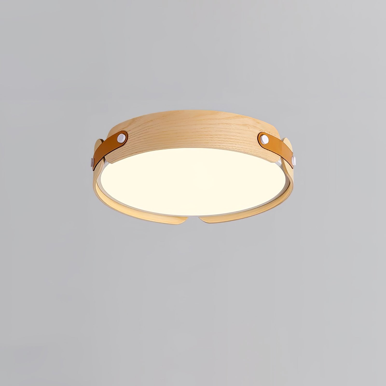 Iwen Plafondlamp