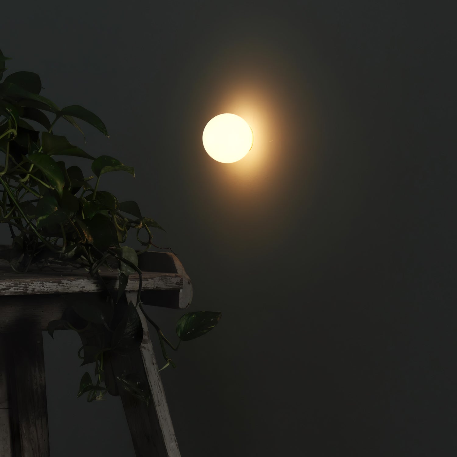 Libaro Orb Wandlamp