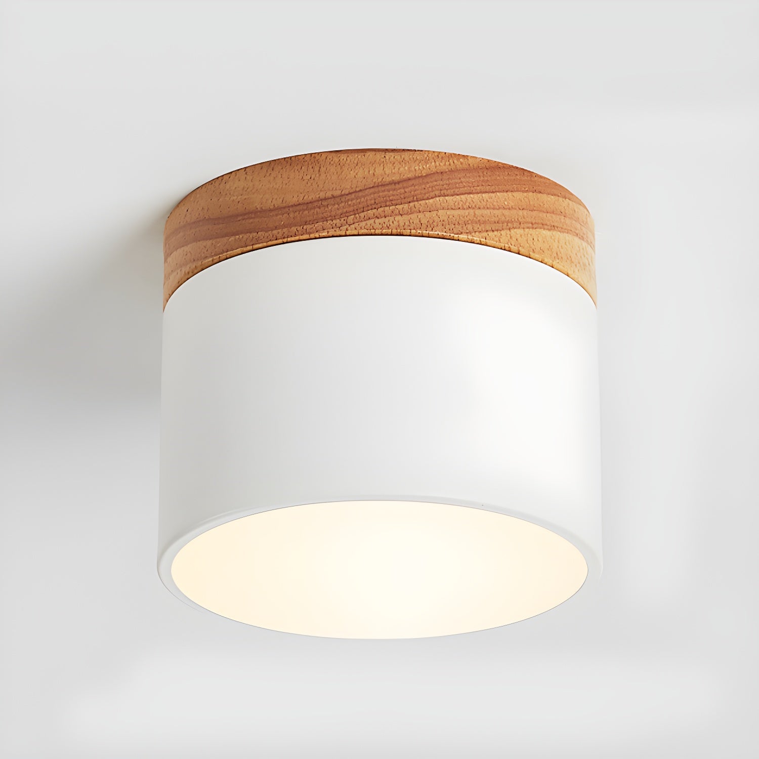 Amfi Cylinder Spotlight Plafondlamp