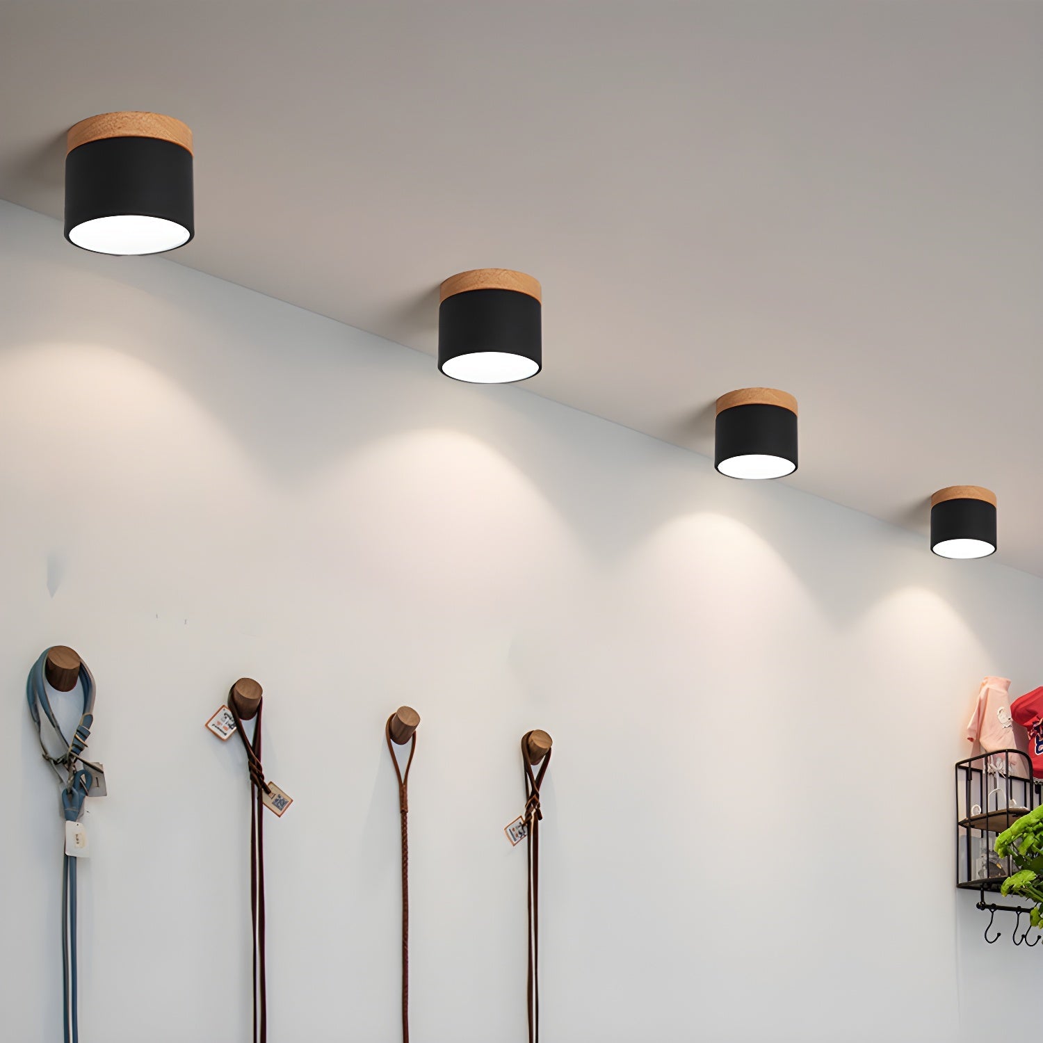 Amfi Cylinder Spotlight Plafondlamp