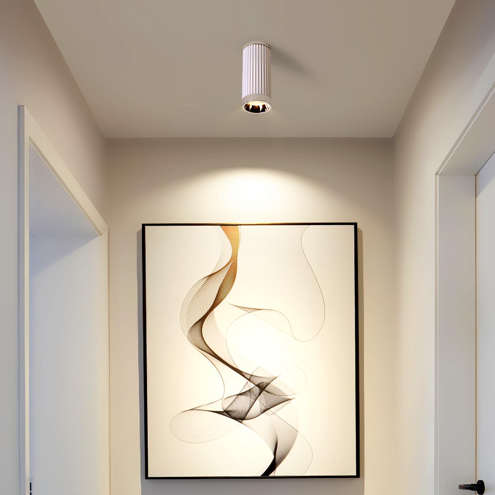 Selaro Plafondlamp
