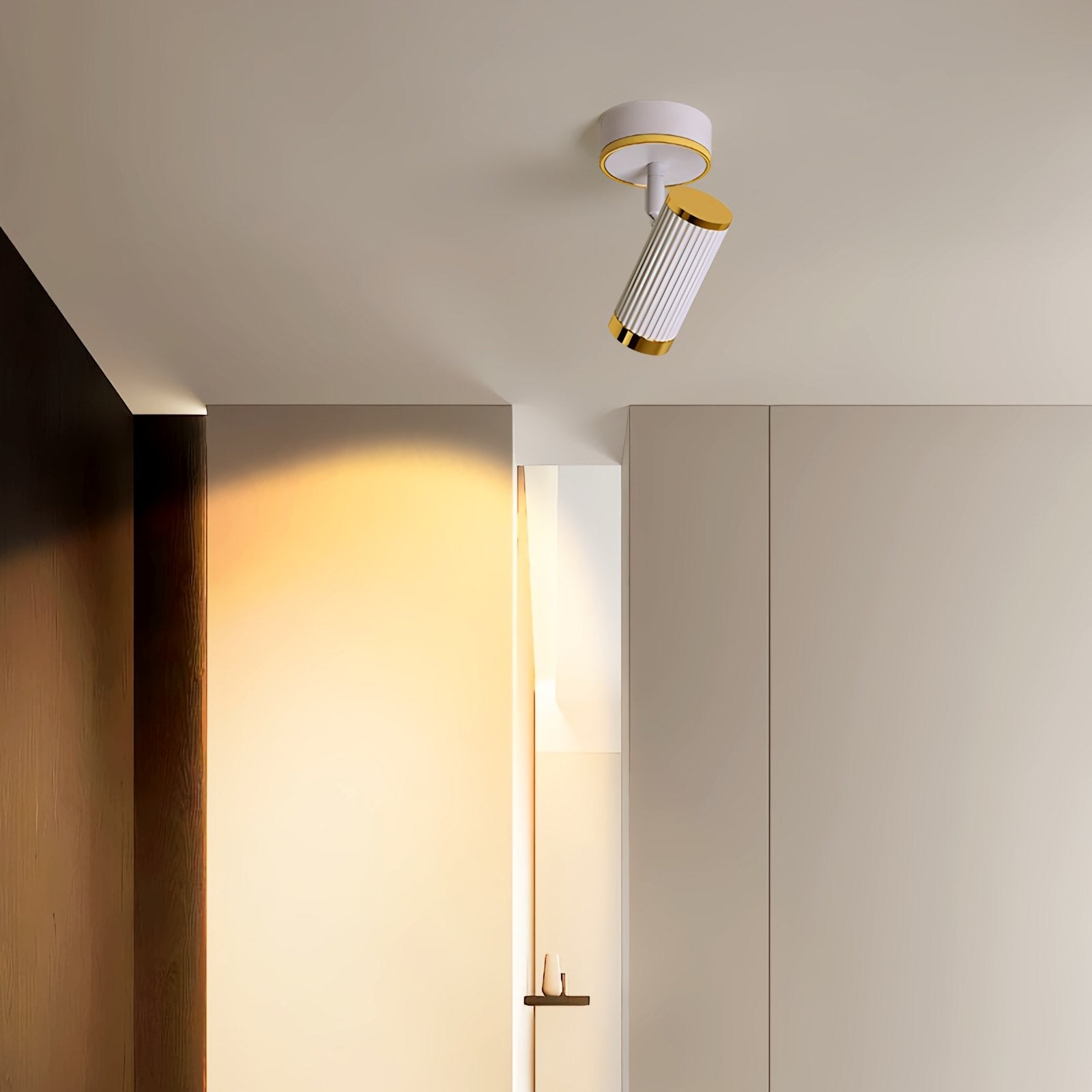 Junivo Plafondlamp