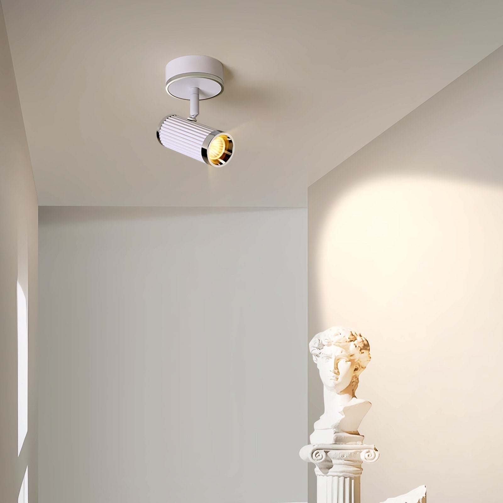 Junivo Plafondlamp
