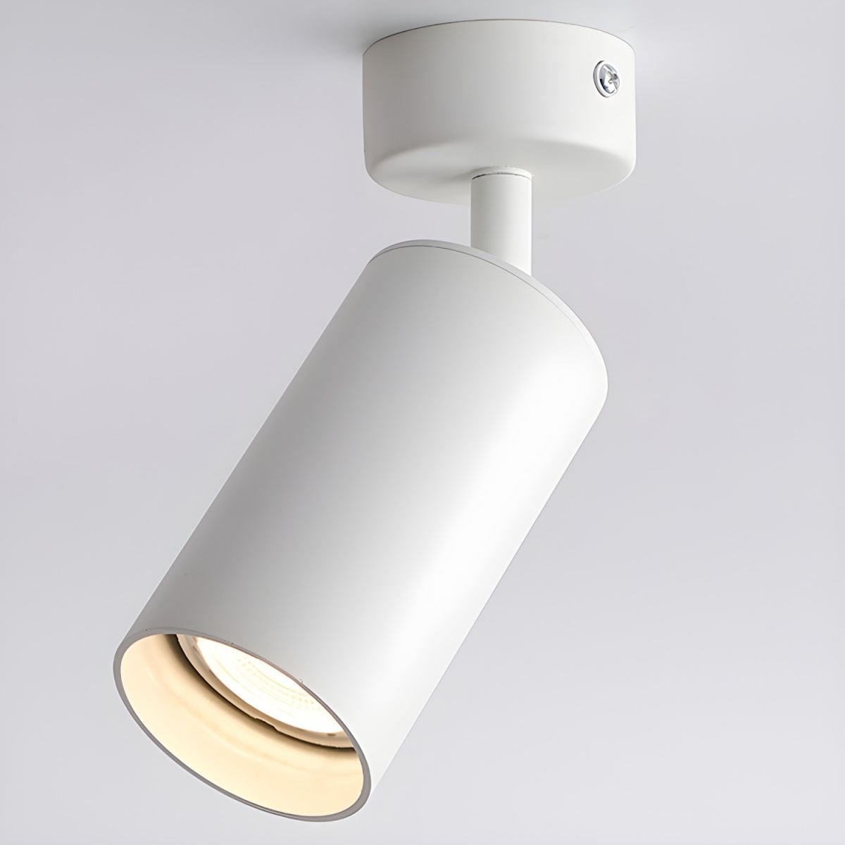 Lampada da soffitto Alzo Spotlight