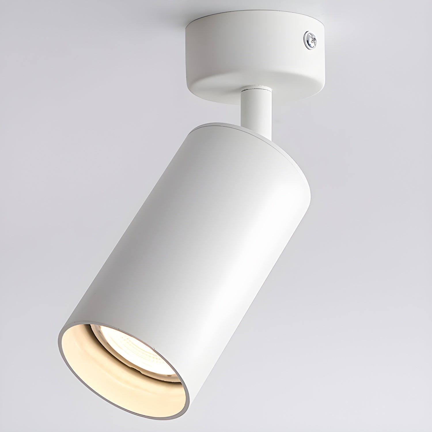 Lampada da soffitto Alzo Spotlight